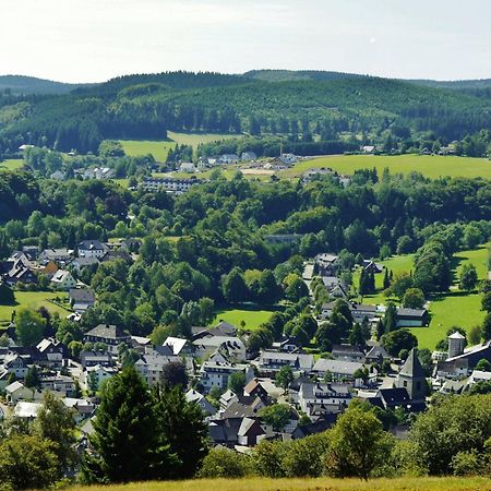 Ferienhaus Diemelquelle - Mit Eingezaeuntem Garten Willingen  Exterior foto