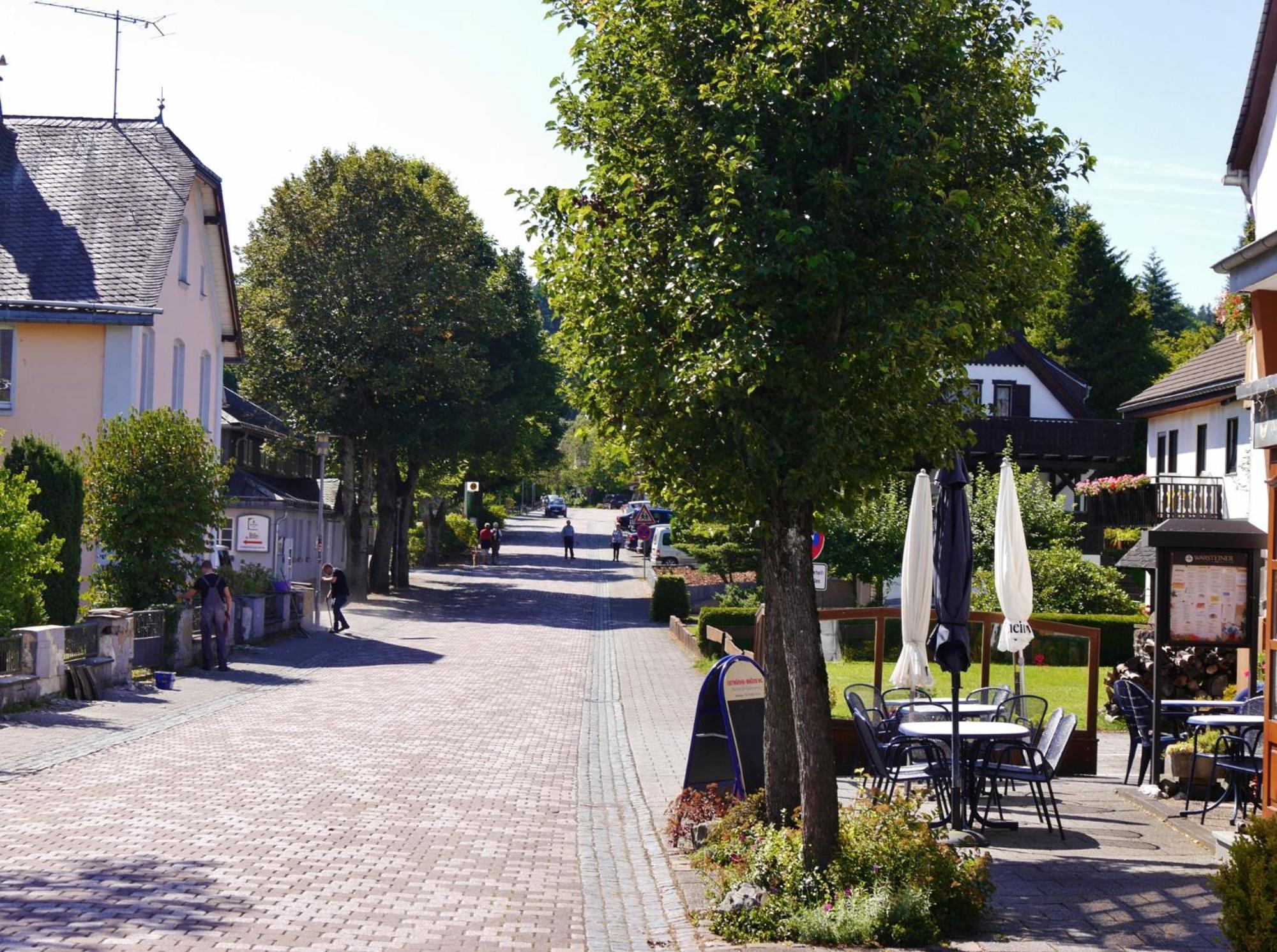 Ferienhaus Diemelquelle - Mit Eingezaeuntem Garten Willingen  Exterior foto